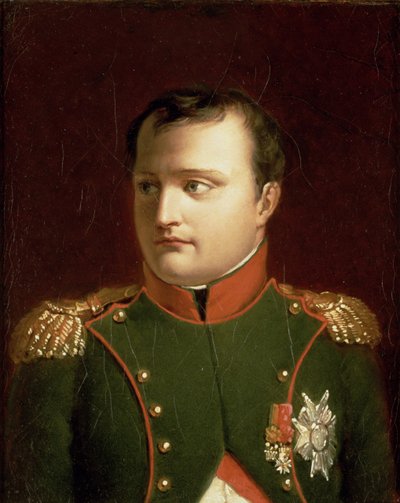 Napoleon Bonaparte by Jacques Louis David